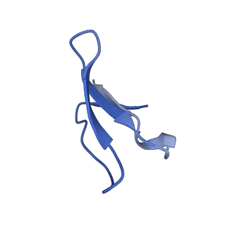 16246_8buu_4_v1-1
ARE-ABCF VmlR2 bound to a 70S ribosome