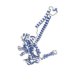 16246_8buu_9_v1-1
ARE-ABCF VmlR2 bound to a 70S ribosome