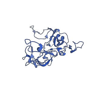 16246_8buu_C_v1-1
ARE-ABCF VmlR2 bound to a 70S ribosome