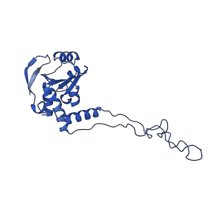 16246_8buu_E_v1-1
ARE-ABCF VmlR2 bound to a 70S ribosome