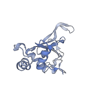 16246_8buu_F_v1-1
ARE-ABCF VmlR2 bound to a 70S ribosome
