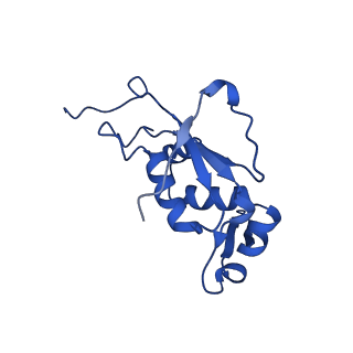 16246_8buu_J_v1-1
ARE-ABCF VmlR2 bound to a 70S ribosome