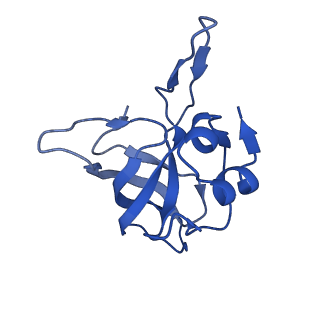 16246_8buu_K_v1-1
ARE-ABCF VmlR2 bound to a 70S ribosome
