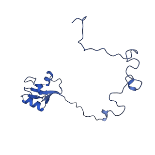 16246_8buu_L_v1-1
ARE-ABCF VmlR2 bound to a 70S ribosome