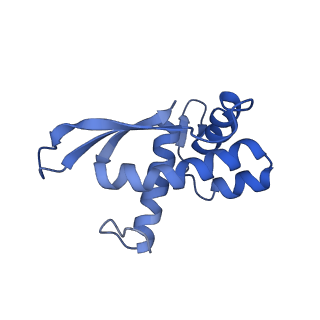 16246_8buu_N_v1-1
ARE-ABCF VmlR2 bound to a 70S ribosome