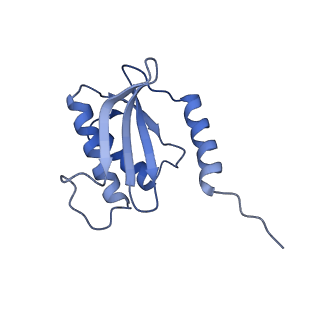 16246_8buu_O_v1-1
ARE-ABCF VmlR2 bound to a 70S ribosome