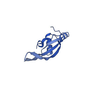 16246_8buu_T_v1-1
ARE-ABCF VmlR2 bound to a 70S ribosome