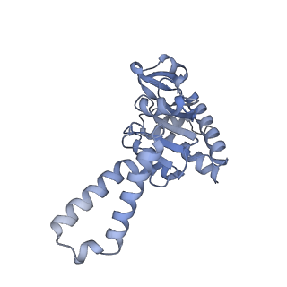 16246_8buu_b_v1-1
ARE-ABCF VmlR2 bound to a 70S ribosome