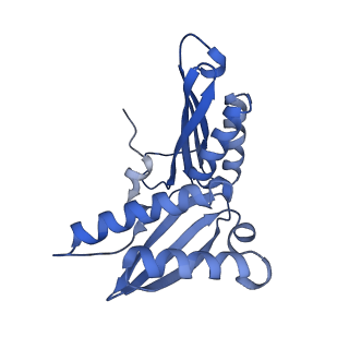 16246_8buu_c_v1-1
ARE-ABCF VmlR2 bound to a 70S ribosome