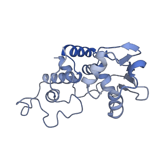 16246_8buu_d_v1-1
ARE-ABCF VmlR2 bound to a 70S ribosome