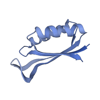 16246_8buu_f_v1-1
ARE-ABCF VmlR2 bound to a 70S ribosome
