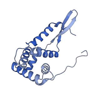 16246_8buu_g_v1-1
ARE-ABCF VmlR2 bound to a 70S ribosome