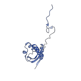 16246_8buu_i_v1-1
ARE-ABCF VmlR2 bound to a 70S ribosome