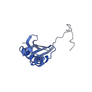 16246_8buu_k_v1-1
ARE-ABCF VmlR2 bound to a 70S ribosome
