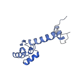 16246_8buu_m_v1-1
ARE-ABCF VmlR2 bound to a 70S ribosome