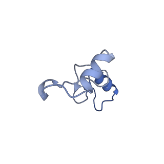 16246_8buu_n_v1-1
ARE-ABCF VmlR2 bound to a 70S ribosome