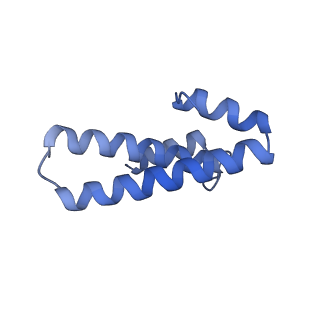 16246_8buu_o_v1-1
ARE-ABCF VmlR2 bound to a 70S ribosome