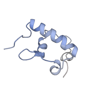 16246_8buu_r_v1-1
ARE-ABCF VmlR2 bound to a 70S ribosome