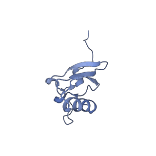 16246_8buu_s_v1-1
ARE-ABCF VmlR2 bound to a 70S ribosome