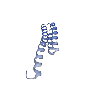 16246_8buu_t_v1-1
ARE-ABCF VmlR2 bound to a 70S ribosome