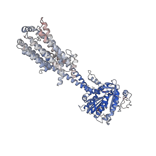 16252_8buz_A_v1-0
Structure of Adenylyl cyclase 8 bound to stimulatory G-protein, Ca2+/Calmodulin, Forskolin and MANT-GTP