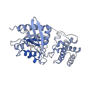 16252_8buz_B_v1-0
Structure of Adenylyl cyclase 8 bound to stimulatory G-protein, Ca2+/Calmodulin, Forskolin and MANT-GTP