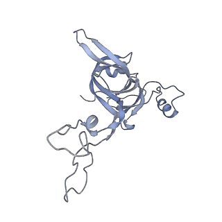 7289_6bu8_05_v1-3
70S ribosome with S1 domains 1 and 2 (Class 1)