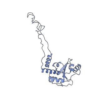 7289_6bu8_06_v1-3
70S ribosome with S1 domains 1 and 2 (Class 1)