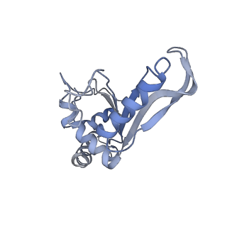 7289_6bu8_07_v1-3
70S ribosome with S1 domains 1 and 2 (Class 1)