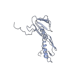 7289_6bu8_08_v1-3
70S ribosome with S1 domains 1 and 2 (Class 1)