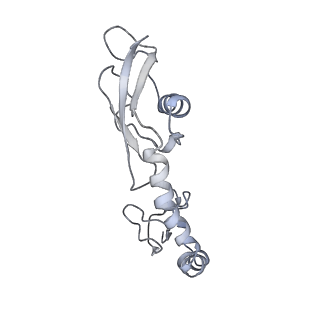 7289_6bu8_09_v1-3
70S ribosome with S1 domains 1 and 2 (Class 1)