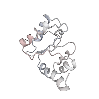 7289_6bu8_10_v1-3
70S ribosome with S1 domains 1 and 2 (Class 1)