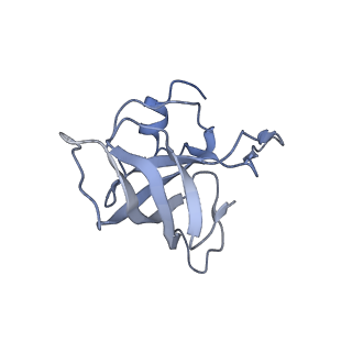 7289_6bu8_13_v1-3
70S ribosome with S1 domains 1 and 2 (Class 1)