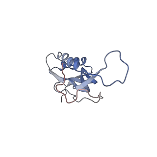7289_6bu8_15_v1-3
70S ribosome with S1 domains 1 and 2 (Class 1)