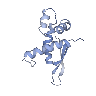 7289_6bu8_16_v1-3
70S ribosome with S1 domains 1 and 2 (Class 1)