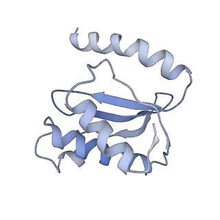 7289_6bu8_17_v1-3
70S ribosome with S1 domains 1 and 2 (Class 1)