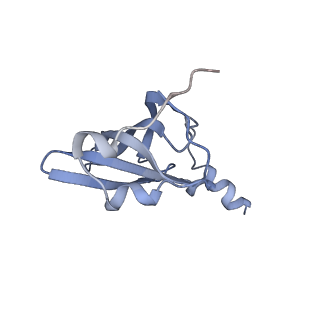 7289_6bu8_18_v1-3
70S ribosome with S1 domains 1 and 2 (Class 1)