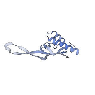 7289_6bu8_21_v1-3
70S ribosome with S1 domains 1 and 2 (Class 1)