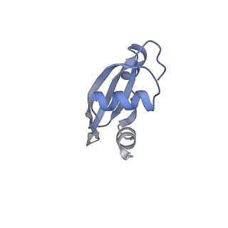 7289_6bu8_22_v1-3
70S ribosome with S1 domains 1 and 2 (Class 1)