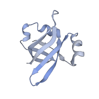 7289_6bu8_24_v1-3
70S ribosome with S1 domains 1 and 2 (Class 1)