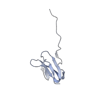 7289_6bu8_25_v1-3
70S ribosome with S1 domains 1 and 2 (Class 1)