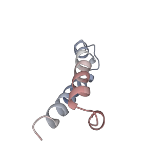 7289_6bu8_27_v1-3
70S ribosome with S1 domains 1 and 2 (Class 1)