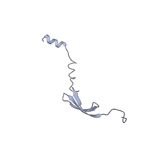 7289_6bu8_29_v1-3
70S ribosome with S1 domains 1 and 2 (Class 1)