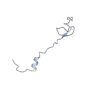 7289_6bu8_30_v1-3
70S ribosome with S1 domains 1 and 2 (Class 1)