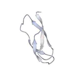 7289_6bu8_31_v1-3
70S ribosome with S1 domains 1 and 2 (Class 1)
