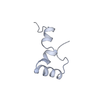 7289_6bu8_32_v1-3
70S ribosome with S1 domains 1 and 2 (Class 1)