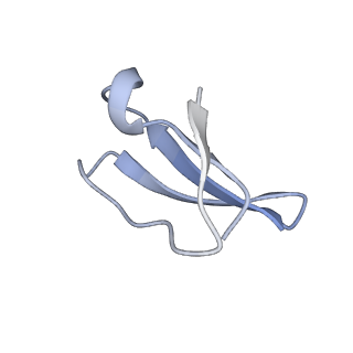 7289_6bu8_34_v1-3
70S ribosome with S1 domains 1 and 2 (Class 1)