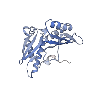 7289_6bu8_C_v1-3
70S ribosome with S1 domains 1 and 2 (Class 1)