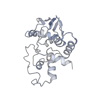 7289_6bu8_D_v1-3
70S ribosome with S1 domains 1 and 2 (Class 1)