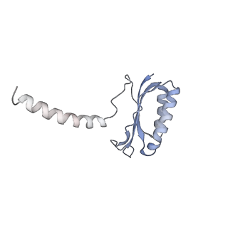 7289_6bu8_F_v1-3
70S ribosome with S1 domains 1 and 2 (Class 1)